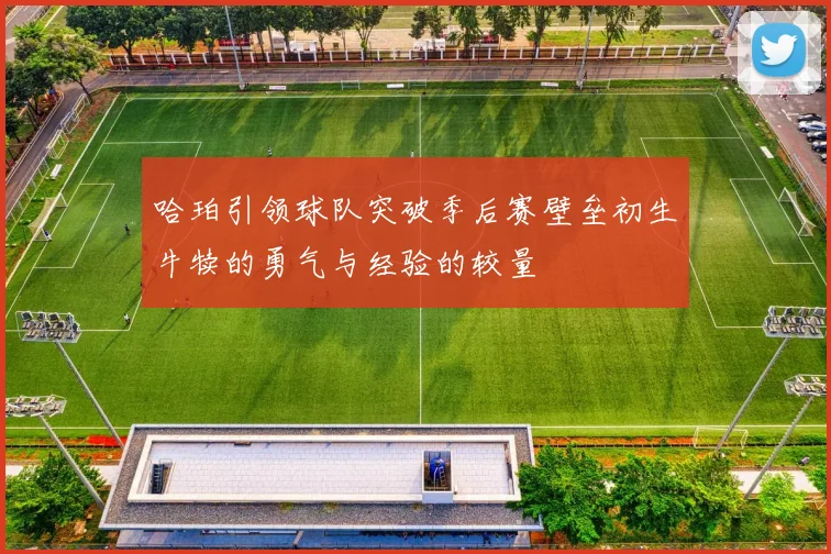 哈珀引领球队突破季后赛壁垒初生牛犊的勇气与经验的较量